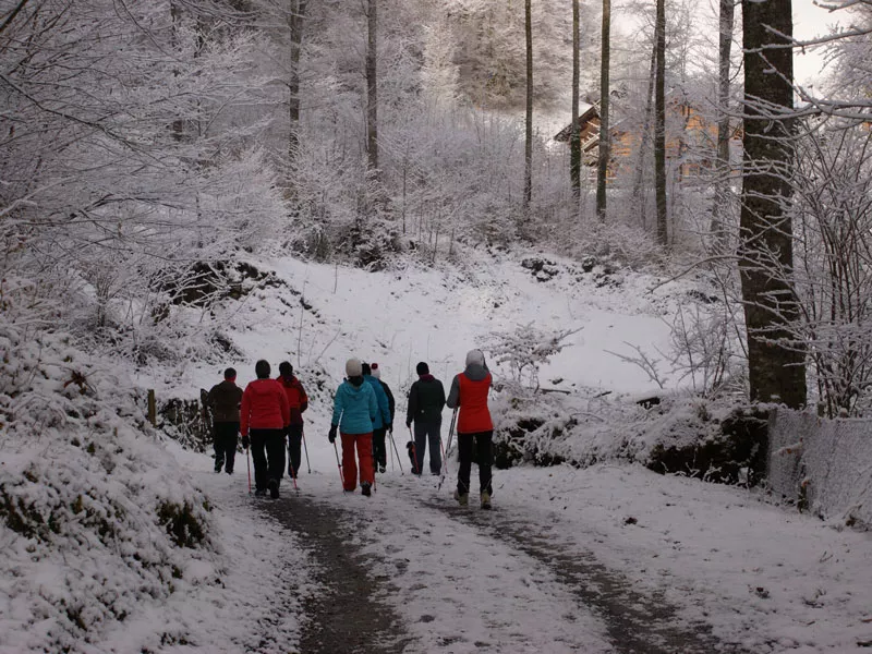 walking-am-morgen-niederurnen-2